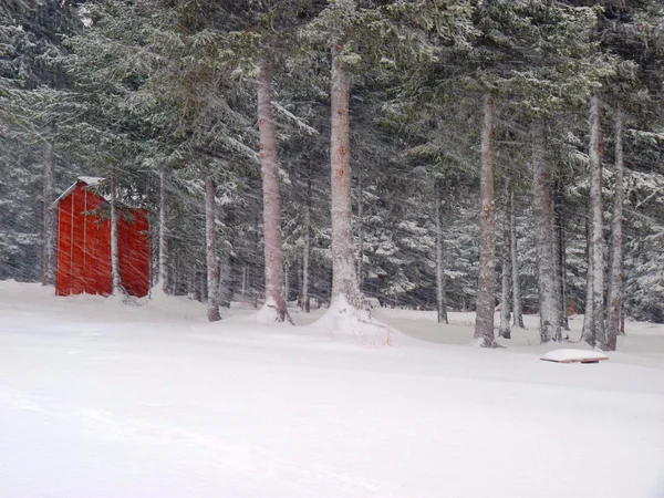 在暴风雪中的木制阿拉斯加外屋。 — 图库照片