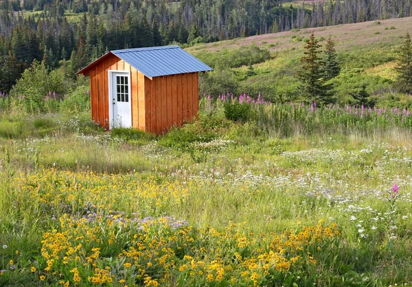 Shed in a meadow — Stock Photo, Image