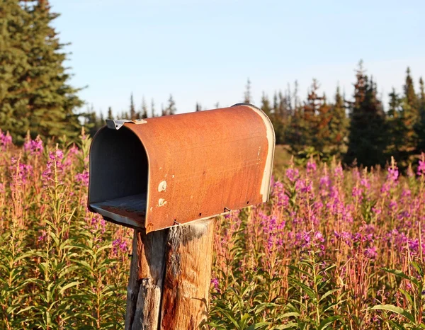Ржавый сельский почтовый ящик — стоковое фото