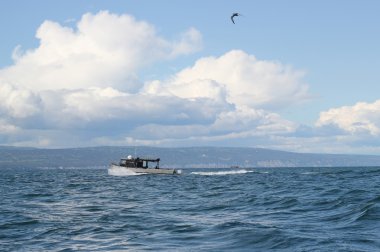 Silver fishing boat on a summer day clipart