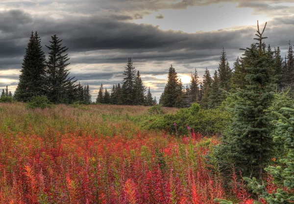 Tormenta de otoño en Alaska rural — Foto de Stock