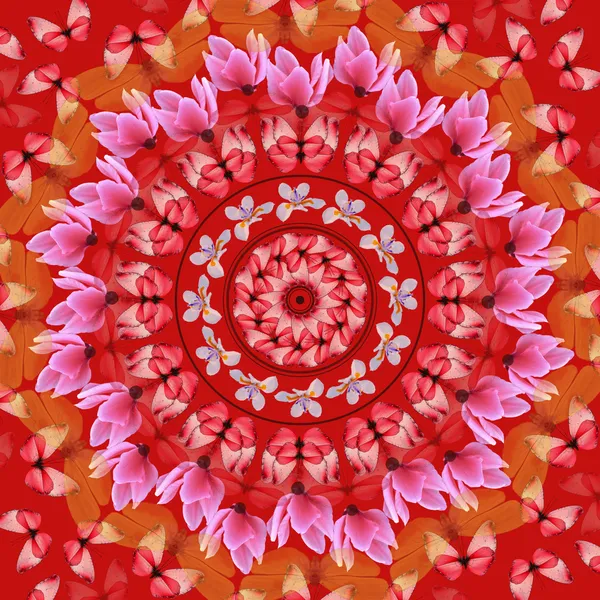 Rotes Mandala — Stockfoto
