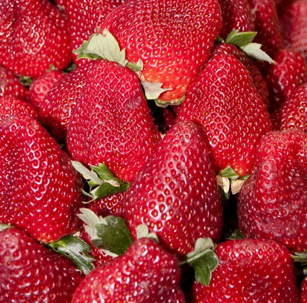 Strawberries Royalty Free Stock Images