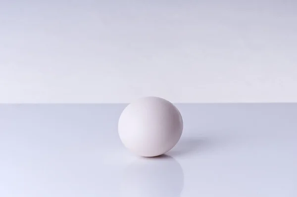 stock image Solo white Egg