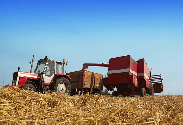 stock image Harvesting time