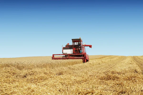 Harvesting time with a combine — Stock Photo, Image