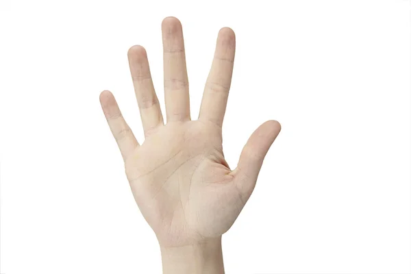 Hand tellen: vijf — Stockfoto