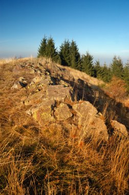 Sonbahar, banska stiavnica yılında Ridge en iyi tanad