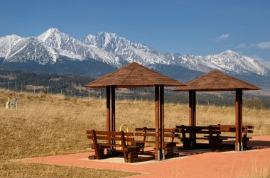 Car resting - High Tatras, Slovakia clipart