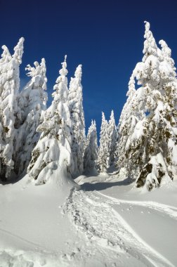 mountains, Slovakya için kar kış manzara