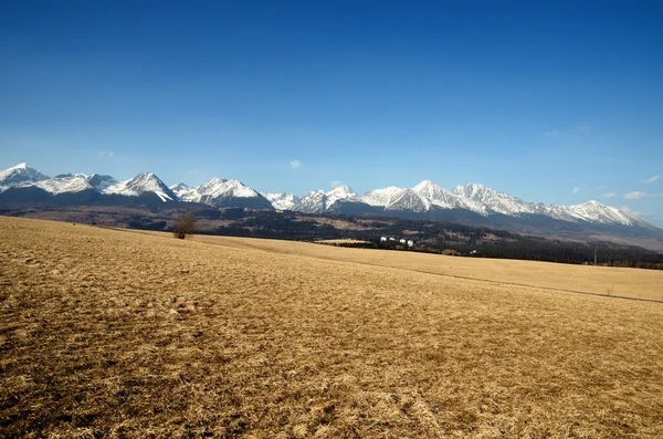 stock image High Tatras, Slovakia