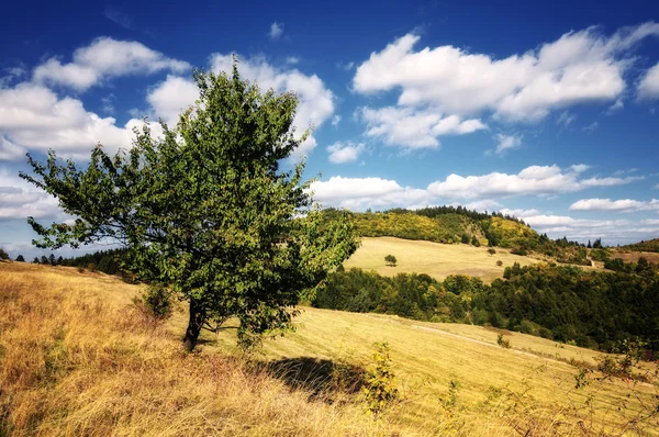 Осінній пейзаж, Словаччина — стокове фото