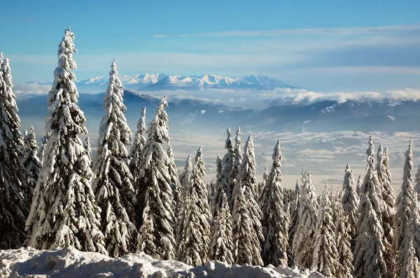 Vinterlandskap med snö i bergen, Slovakien — Stockfoto