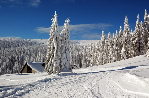 Paisagem de inverno com neve nas montanhas, Eslováquia — Fotografia de Stock
