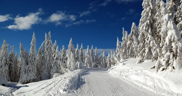 산, 슬로바키아에서에서 눈 겨울 풍경 — 스톡 사진