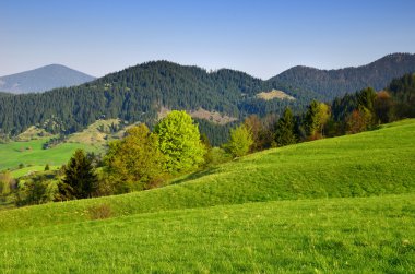 Liptovska luzna - bahar peyzaj altında düşük tatras, Slovakya