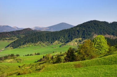 Liptovska Luzna - Spring landscape under the Low Tatras, Slovakia clipart