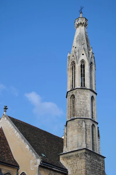 Keçi sopron, Macaristan Gotik Kilisesi — Stok fotoğraf