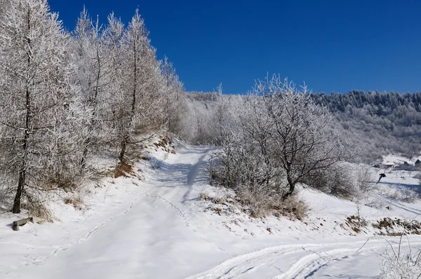 冬季景观与雪在山，斯洛伐克 — 图库照片