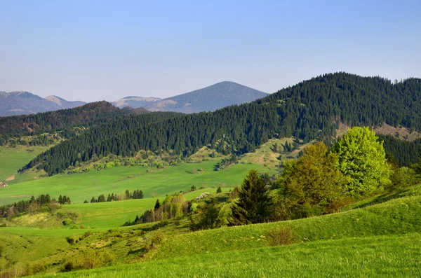 Liptovska luzna - wiosnę krajobraz pod Tatry, Słowacja — Zdjęcie stockowe