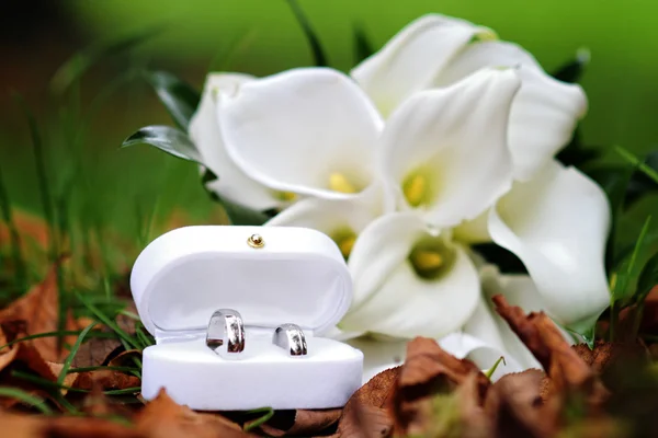Лилии свадебный букет и кольца — стоковое фото