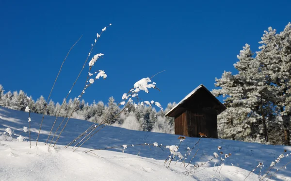Vinterlandskap med snö i ottergrund, Banská Štiavnica — Stockfoto