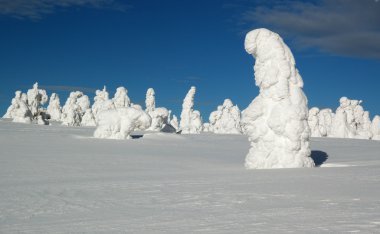 mountains, Slovakya için kar kış manzara