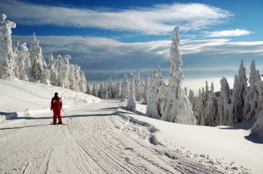 mountains, Slovakya için kar kış manzara