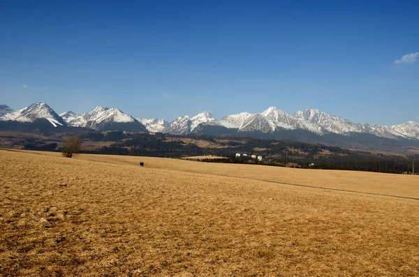 Alto Tatras, Eslovaquia —  Fotos de Stock