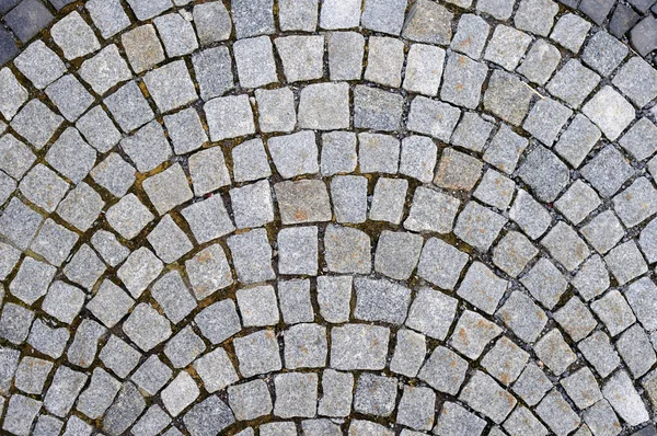 stock image Paving blocks - cat's head