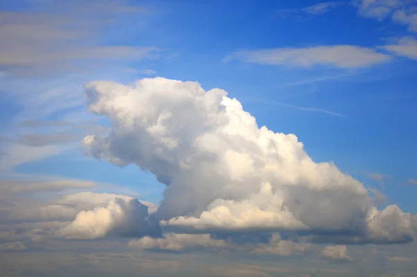 Forma de um urso na nuvem — Fotografia de Stock