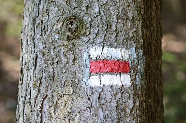 stock image Tourist mark on tree