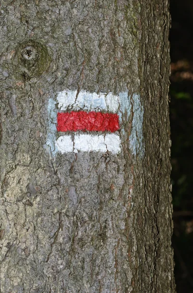 stock image Tourist mark on tree