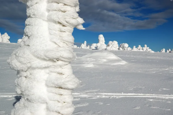 Téli táj, a hó a hegyekben, Szlovákia — Stock Fotó