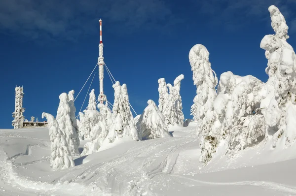 Зимний пейзаж со снегом в горах, Словакия — стоковое фото