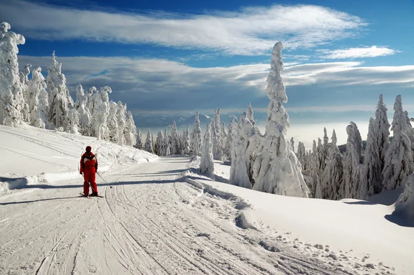 Winterlandschaft mit Schnee in den Bergen, Slowakei — Stockfoto
