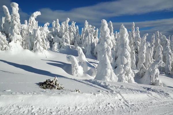 Krajobraz zimy ze śniegiem w górach, Słowacja — Zdjęcie stockowe