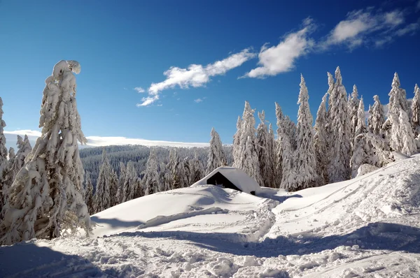 Krajobraz zimy ze śniegiem w górach, Słowacja — Zdjęcie stockowe