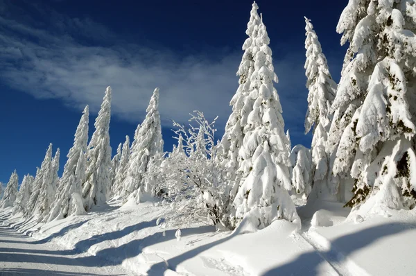Paisaje invernal con nieve en las montañas, Eslovaquia — Foto de Stock