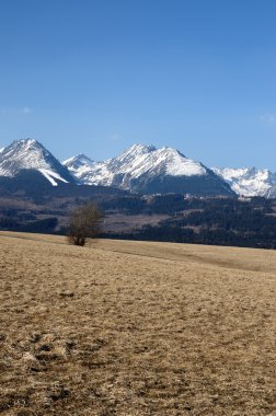 yüksek tatras, Slovakya