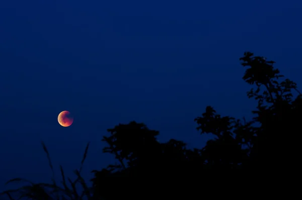 stock image Lunar eclipse 2011 Slovakia