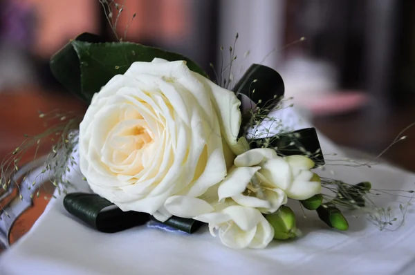 Rosas de plumas de boda para el novio — Foto de Stock