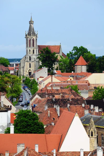Cabra A Igreja Gótica em Sopron, Hungria — Fotografia de Stock