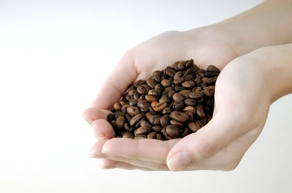 Los granos de café en las manos de las mujeres — Foto de Stock