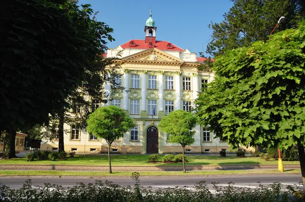 真正老学校，svitavy-捷克共和国 — 图库照片