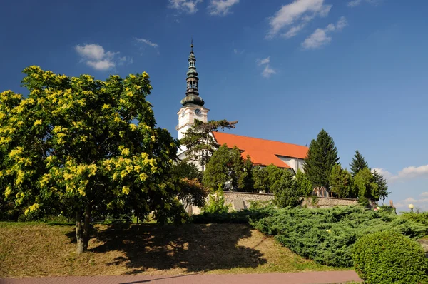 市街ノベ メスト nad vahom、スロバキアのカトリック教会 — ストック写真