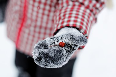 Child girl shows a wild rose berry in a mitten clipart