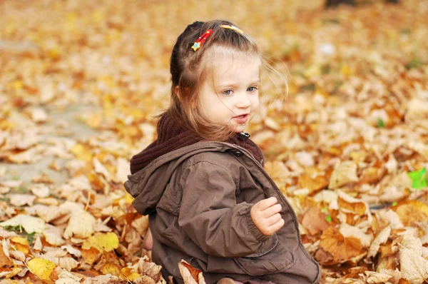 Vacker flicka spelar i höst skog — Stockfoto