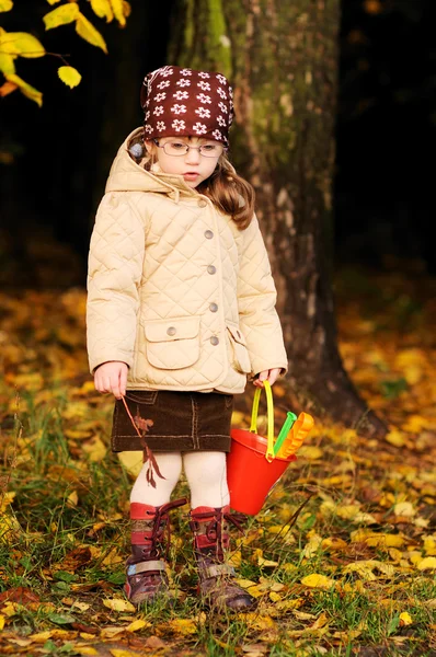 Roztomilé batole dívka chodí v podzimním lese — Stock fotografie
