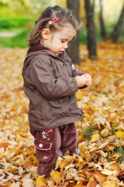 入浴 phonecallόμορφο κοριτσάκι βόλτες στο δάσος του φθινοπώρου — Φωτογραφία Αρχείου